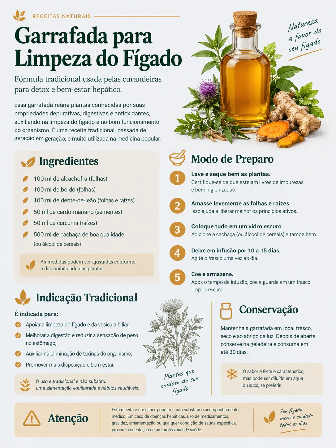 Exemplo de limpeza do fígado